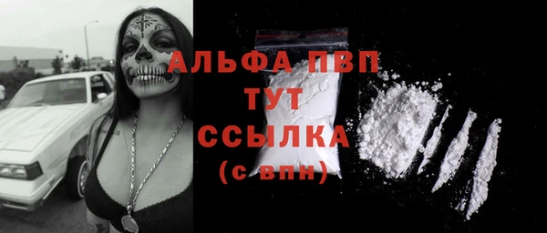 мдпв Богданович