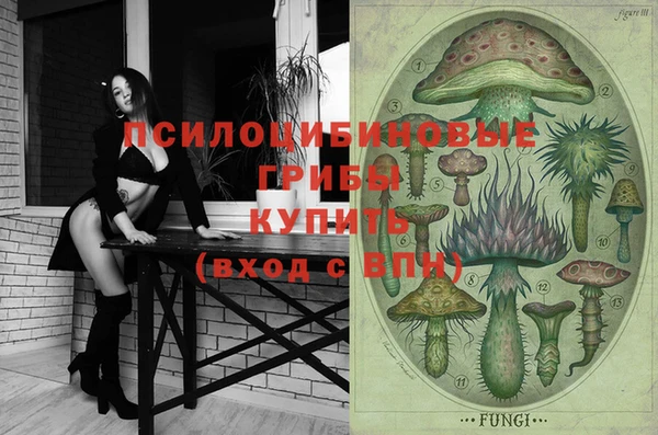 мдпв Богданович
